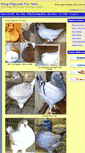 Mobile Screenshot of kingpigeons.com